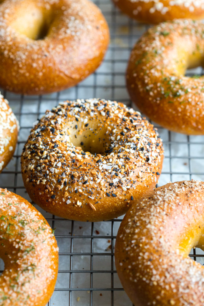 Everything Bagels, Salt & Pepper Bagels, Salted Dill Bagels and Sesame Bagels close up cooling on a baking sheet
