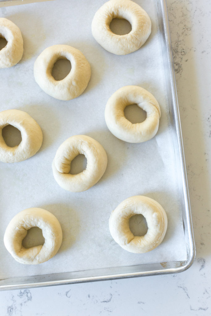 bagels shaped on a baking sheet