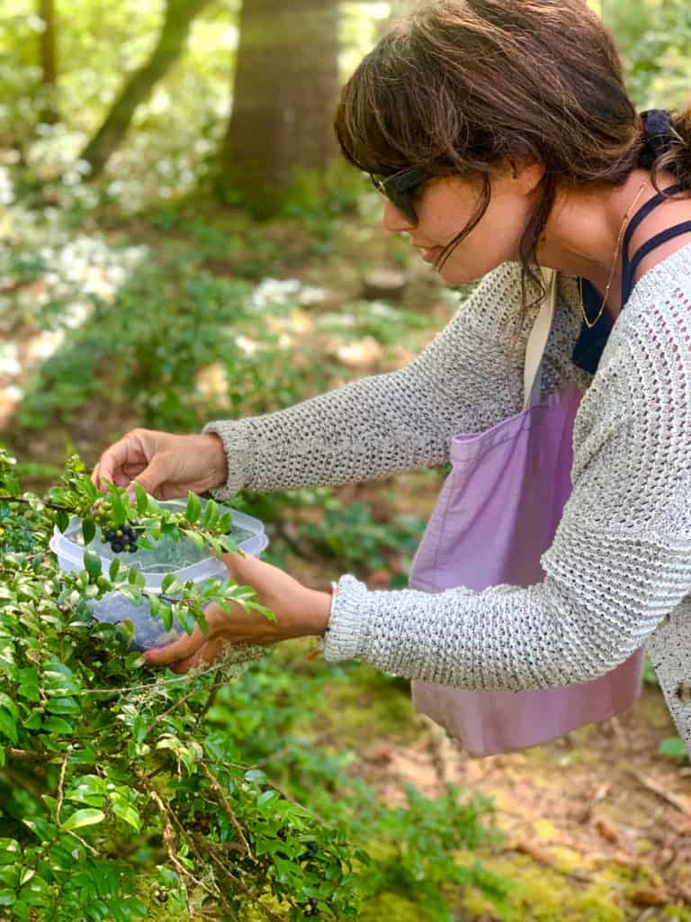 Picking huckleberries in Depoe Bay, Oregon