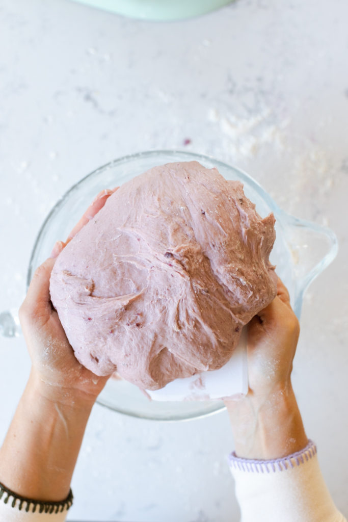 urple Sweet Potato Dinner Roll dough