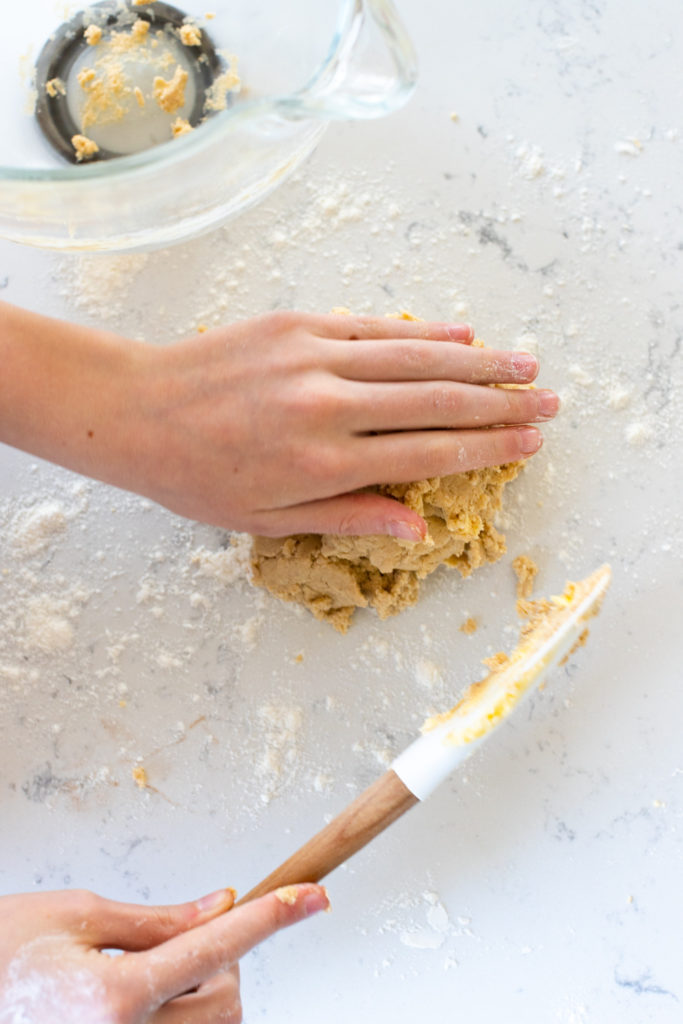 Snickerdoodle Shortbread Cookie dough