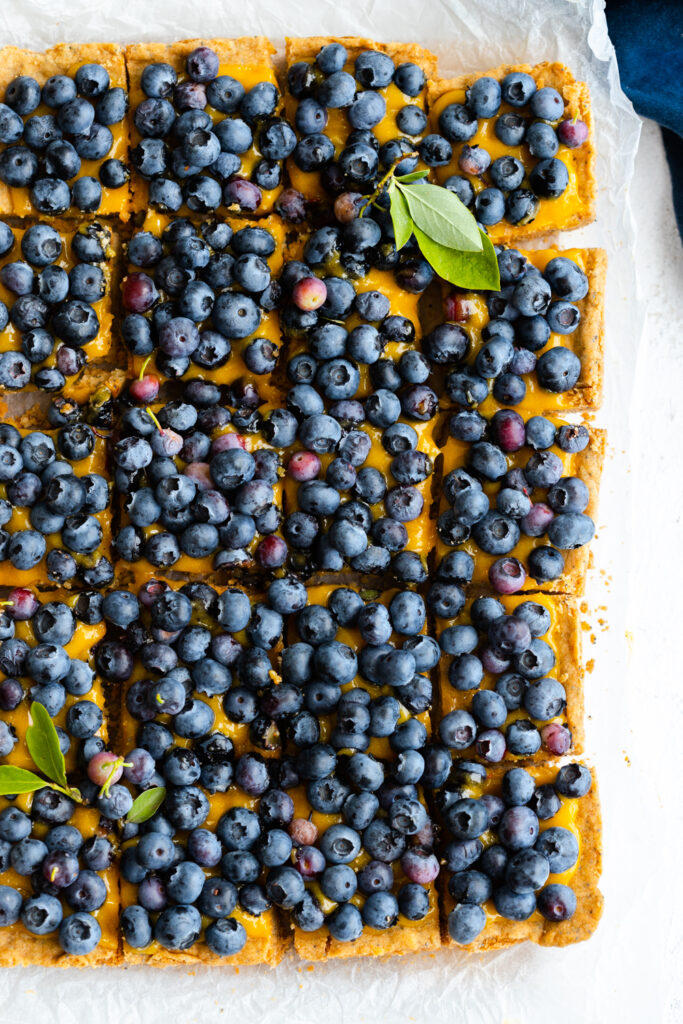 Blueberry Lemon Curd Poppy Seed Shortbread Bars