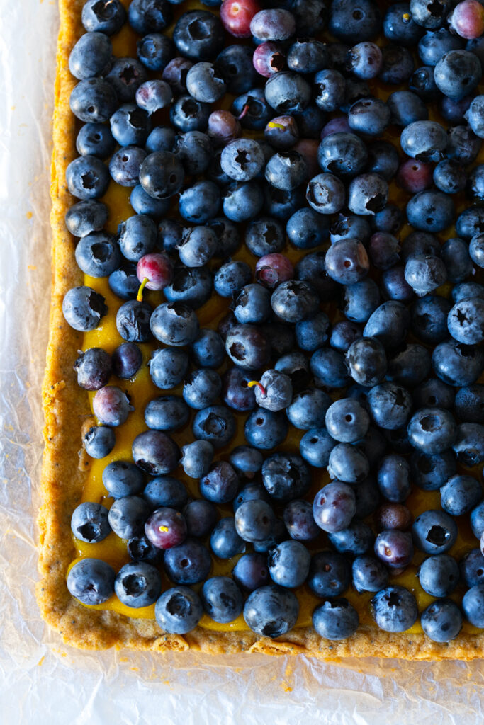 Blueberry Lemon Curd Poppy Seed Shortbread Bars pre-cut