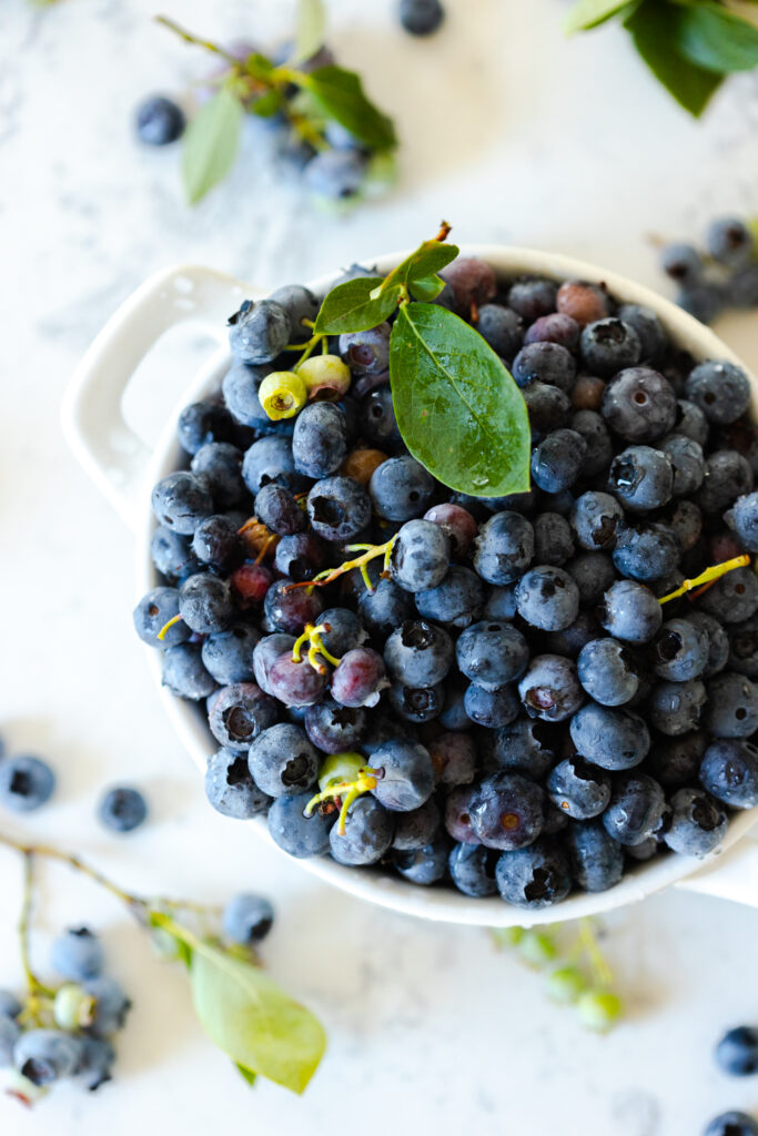 Fresh picked blueberries