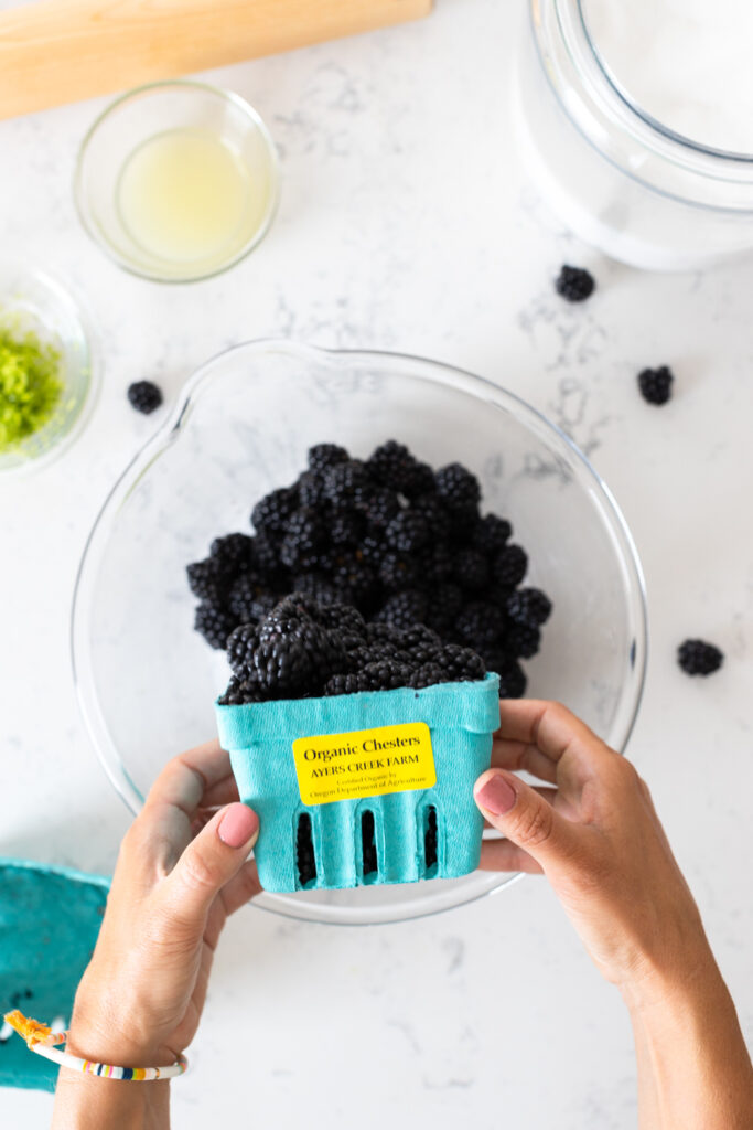 Ayers Creek Farm Chester Blackberries