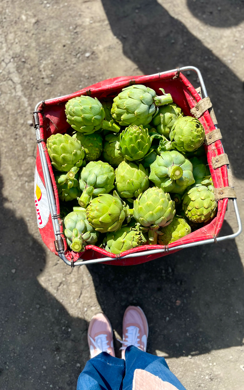 Filled artichoke canasta