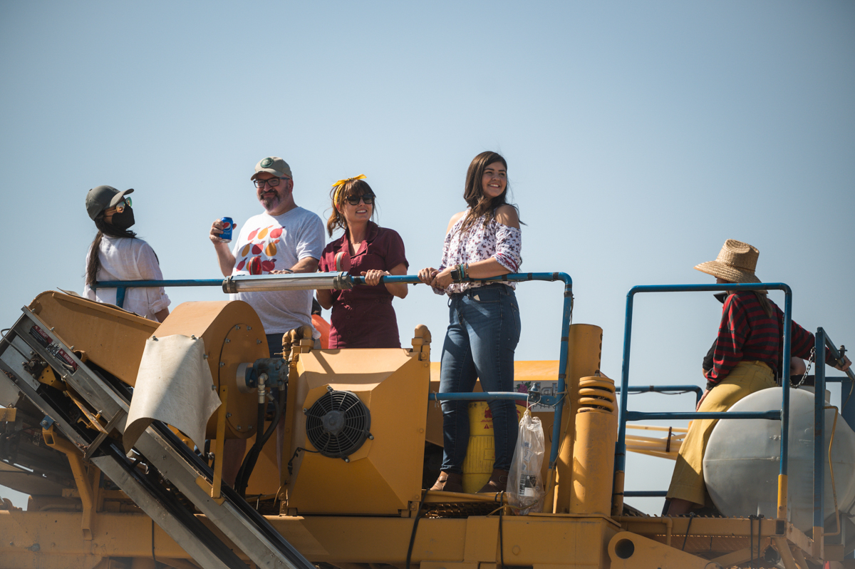 Riding a Raisin Harvester in Madera, CA