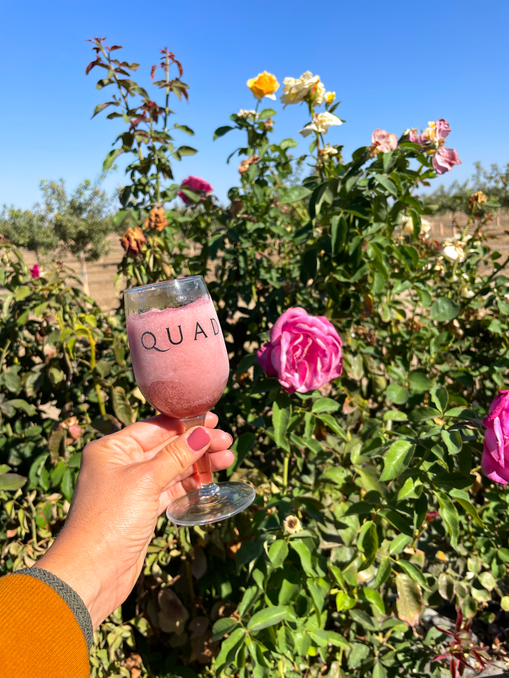 Froze at Quady Winery