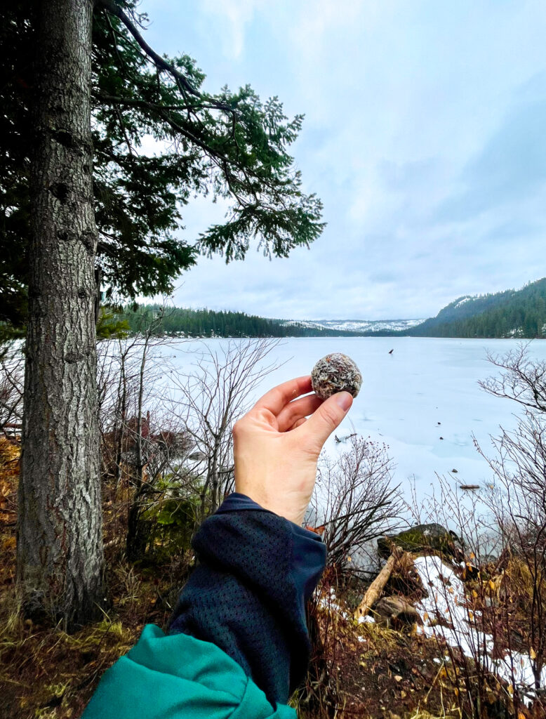 Prune Almond Energy Ball Hike Prune Almond Energy Ball Hike