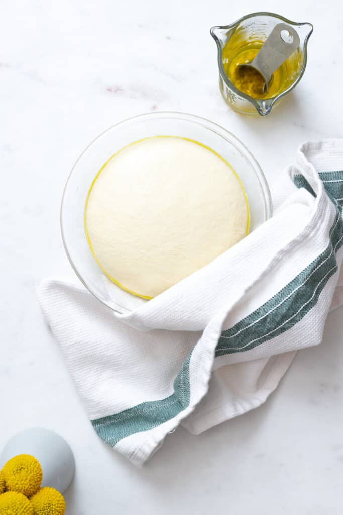 bread dough risen and puffy