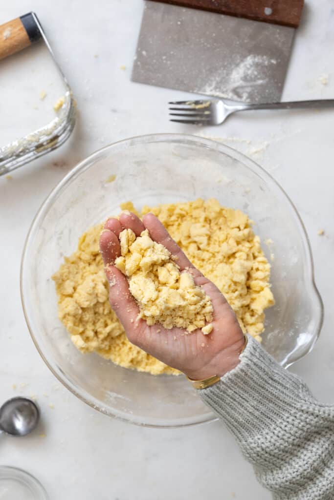 Pie dough squeeze test step 1 - a handful of dough