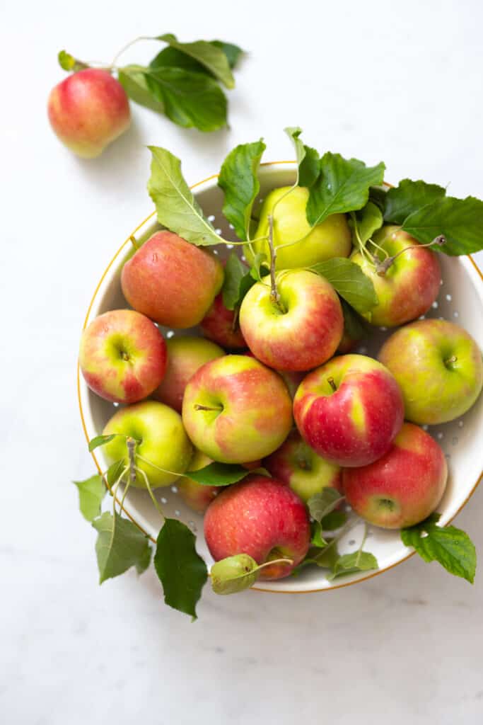fresh picked apples