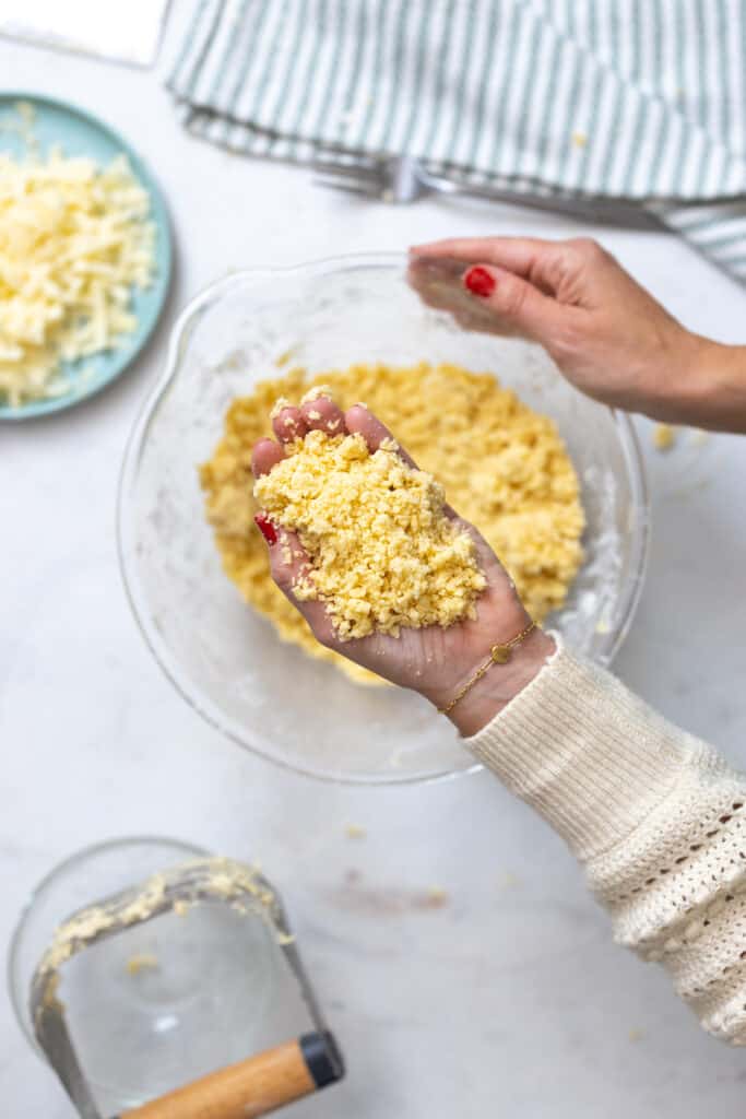 crumbly pie dough mix