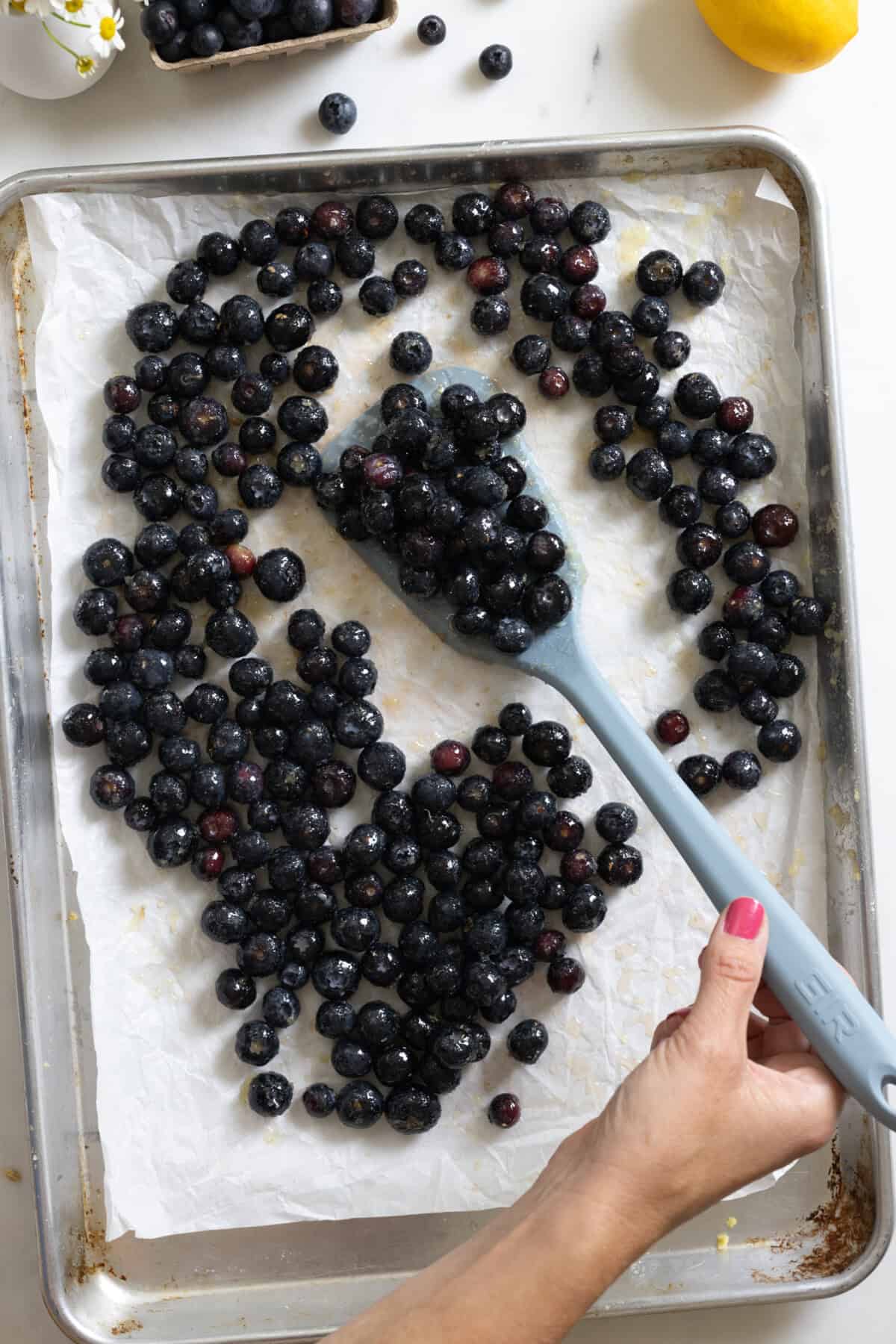 California grown blueberries on baking sheet