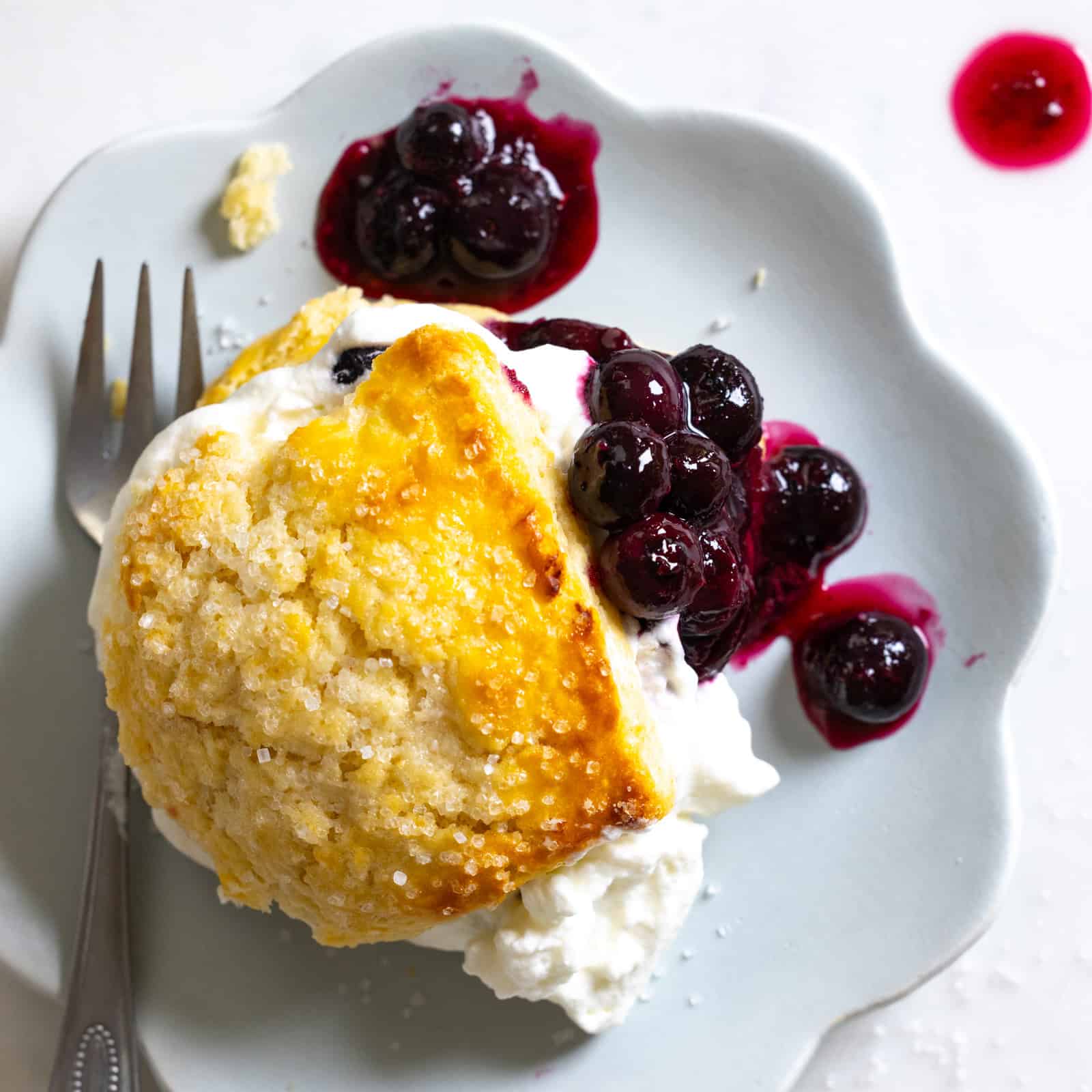 Roasted Blueberry Shortcakes by Baking The Goods