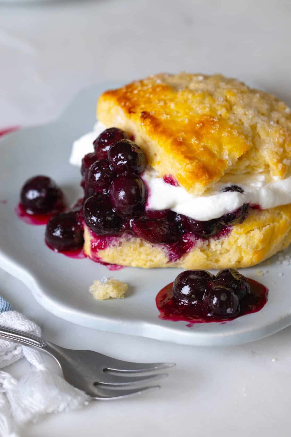 Roasted Blueberry Shortcake
