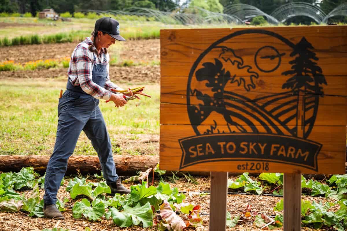 Paprika-Studios-CAG-Feature-Sea-to-Sky-Farms-7600