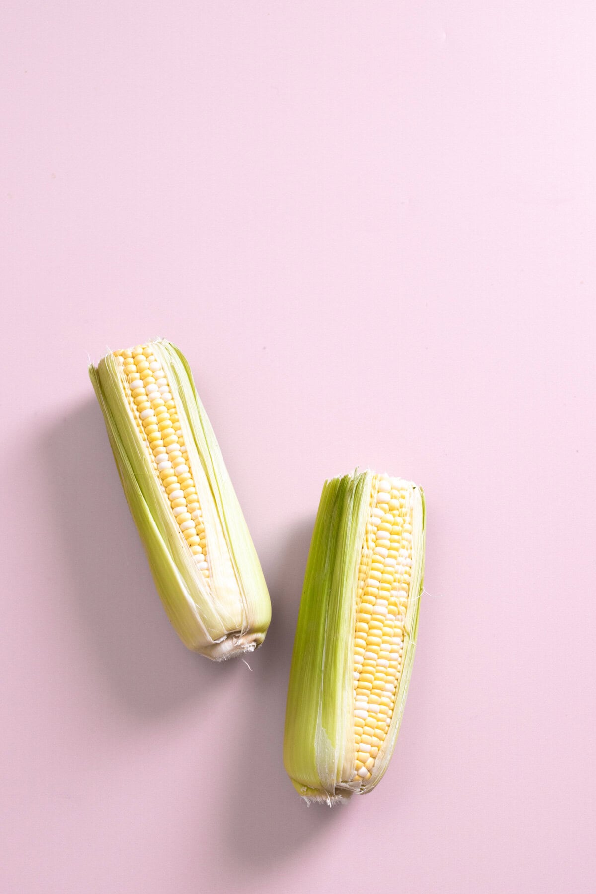 fresh summer corn