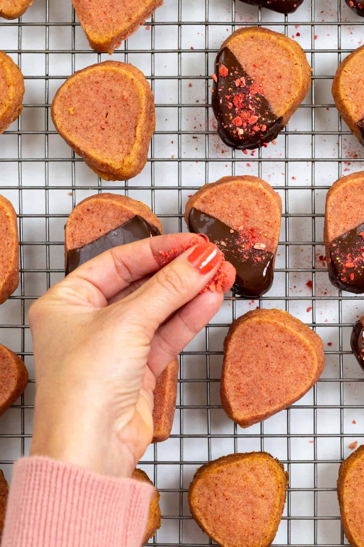 Sprinkling Chocolate Dipped Strawberry Cookies with freeze dried strawberries