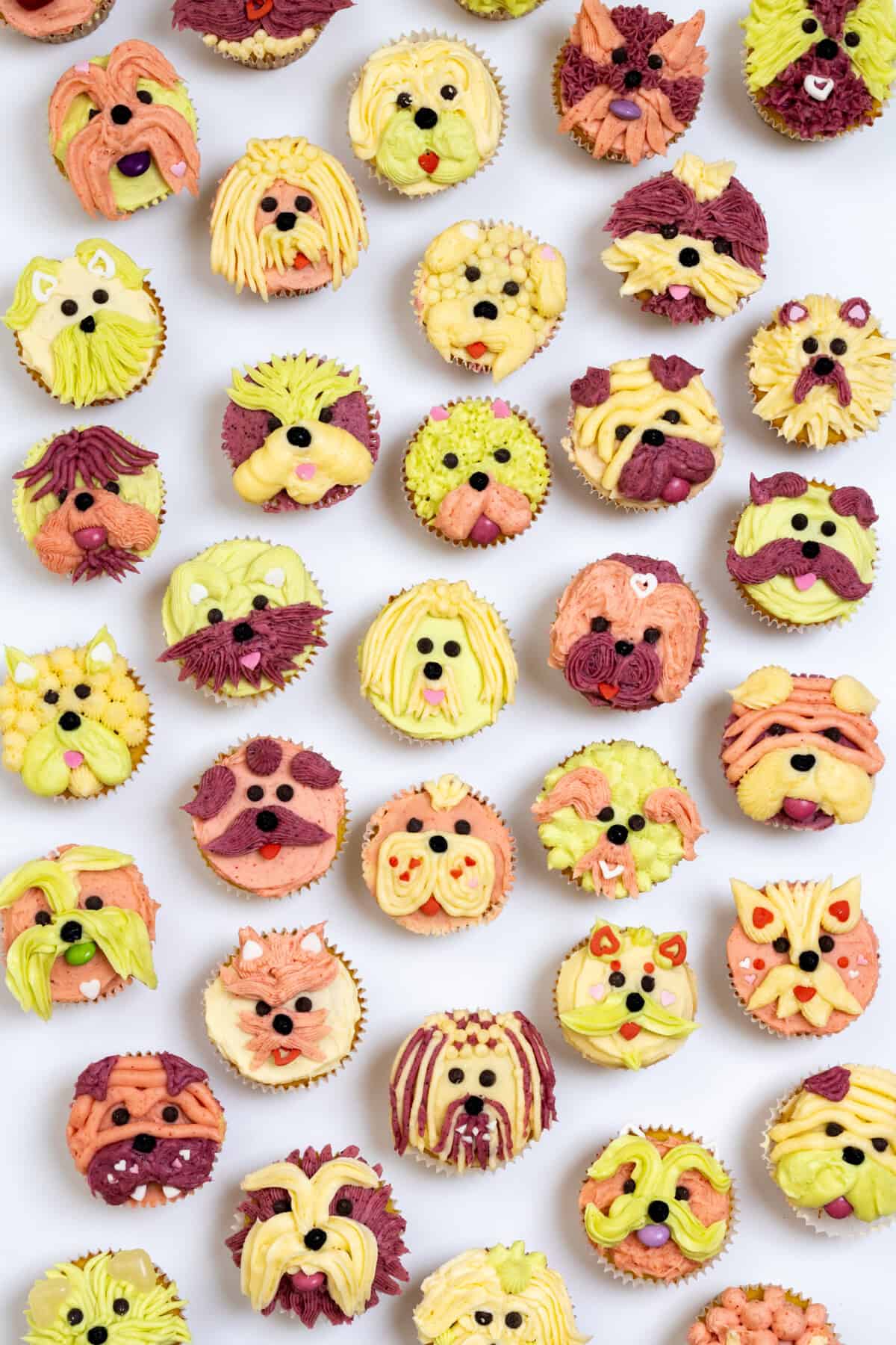 Pupcakes by Baking The Goods