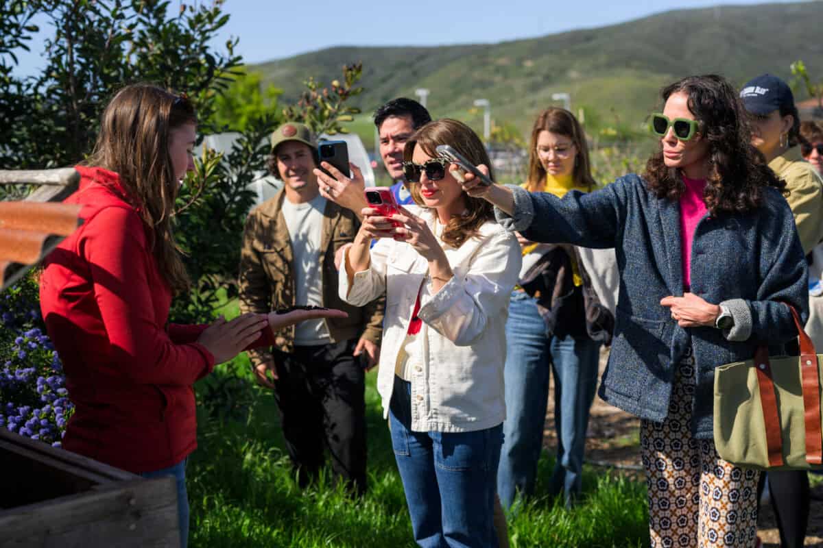 Worm compost at City Farm SLO garden